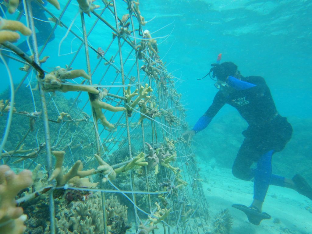 Mergulhador de profundidade tocando numa rede de proteção de aço no fundo do oceano.
