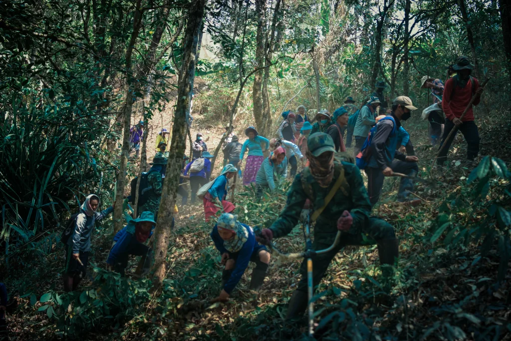 A group of people climbing a mountain in forest while holding tools.