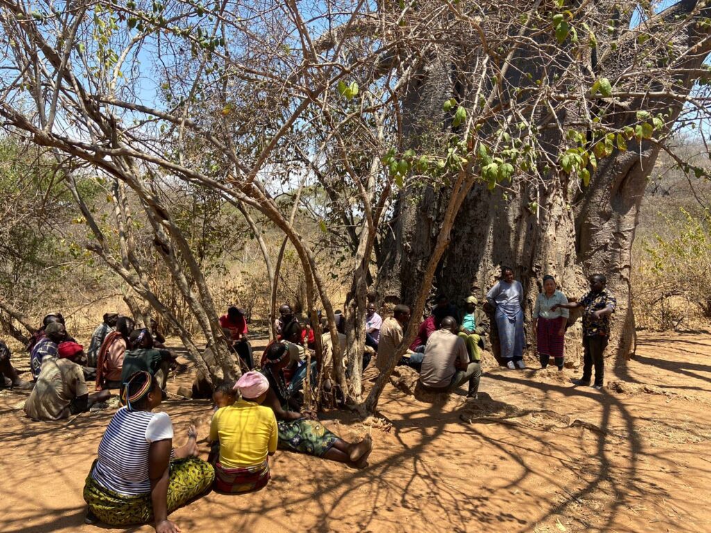 Uma reunião de pessoas junto a uma árvore gigante numa terra seca.